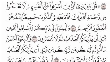 سورة الزمر ٥٣-٥٧ / ياسر الدوسري ✨🌺
