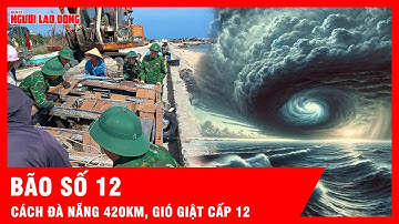 Tin bão mới nhất: Bão số 12 cách Đà Nẵng 420km, gió giật cấp 12 | Tin tức