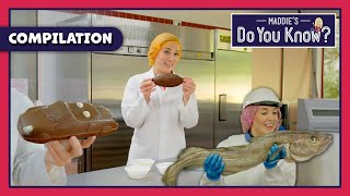 How are different FOODS made? 🍄🍴 | Maddie's Do You Know 👩 20+ MINUTE Compilation