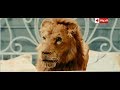 تخيل لو أبوك بقي أسد ياتري هياكلك انت واخواتك ولالا ياروح امك هو انا أسد نباتي ربع رومي تخيل لو أبوك بقي أسد ياتري هياكلك انت واخواتك ولالا ياروح امك هو انا أسد نباتي ربع رومي