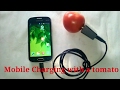 Mobile charging with a Tomato! Awesome Life hack