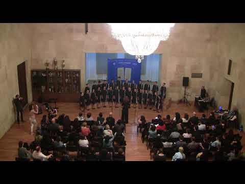 ნათია გოგუაძის გუნდი - Adiemus