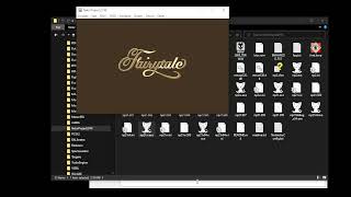 Using Textractor with NP21w