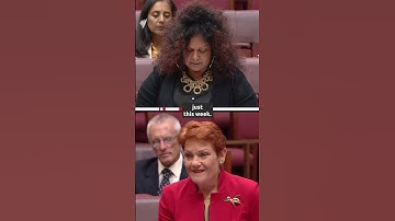Thumbnail of One Nation criticised over Acknowledgement of Country protest