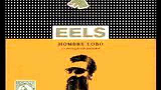 Video thumbnail of "Eels - That look you give that guy.mp4"