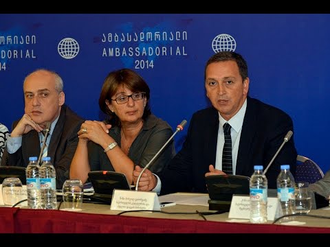 მიხეილ გიორგაძე \"ამბასადორიალი 2014\" - ზე