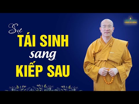 Video Cái gì dẫn dắt con người đi tái sinh sang kiếp sau? |... - youtube