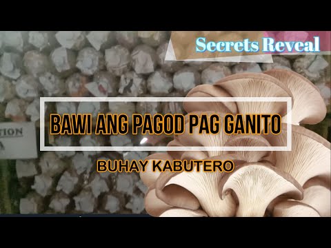 Video: Gaano katagal tumutubo ang kabute pagkatapos ng ulan?