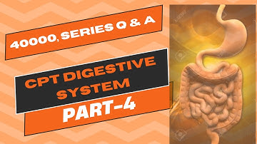 Q AND A DIGESTIVE SYSTEM   PART 1