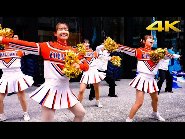 4K チア] 駒沢大学チアリーディング 体育会應援指導部ブルー