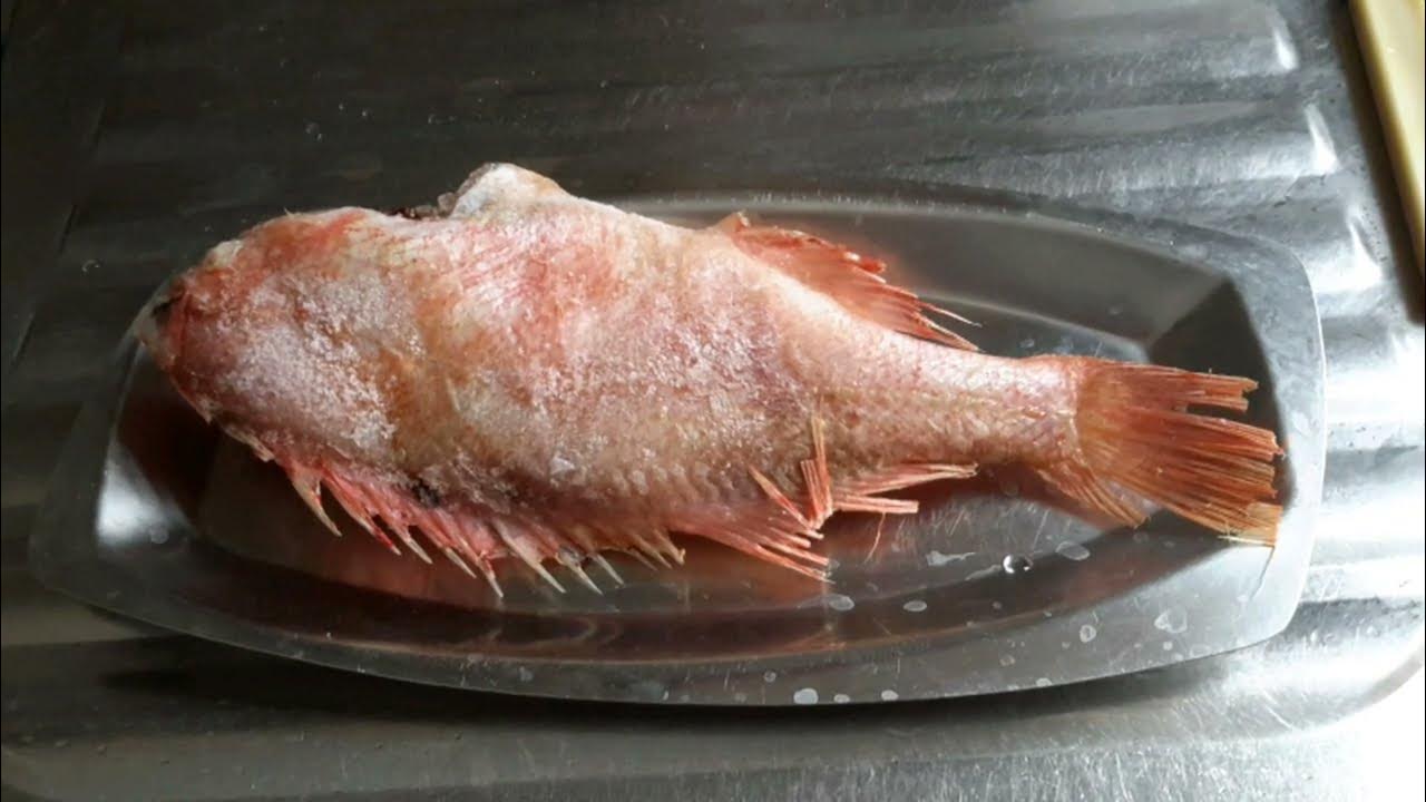 Чешуя морского окуня. Окунь морской очищенный. Чешуя морского окуня. Филе морского окуня фото. Внутренности морского окуня.