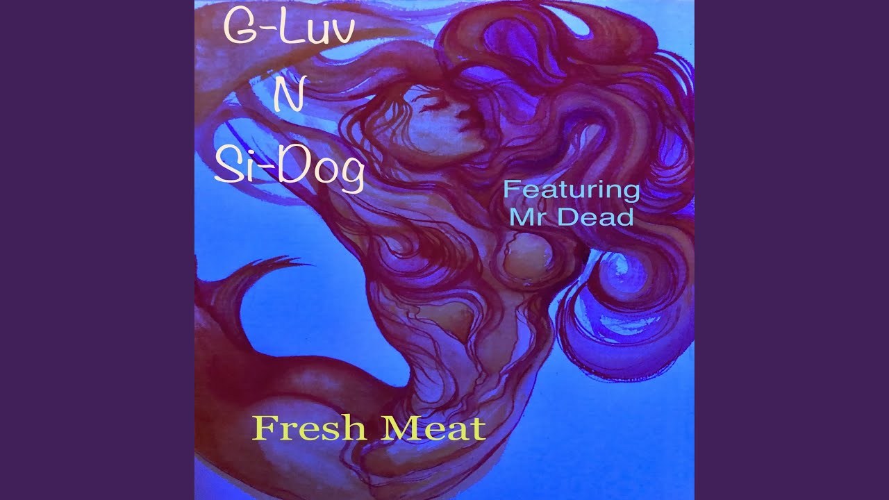 Bitch Ain’t Got No Funk