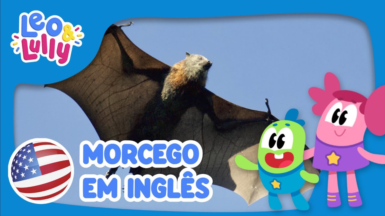 O Morcego em Inglês! | Aprender Inglês com os Animais! - YouTube