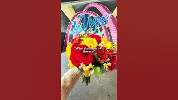 You Can Have It All at Vegas Weddings!