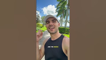 My dog caught me…. #dogsofyoutube #dog #dogs #husky #huskies #running