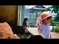 日立市　かみね動物園 の動画、YouTube動画。