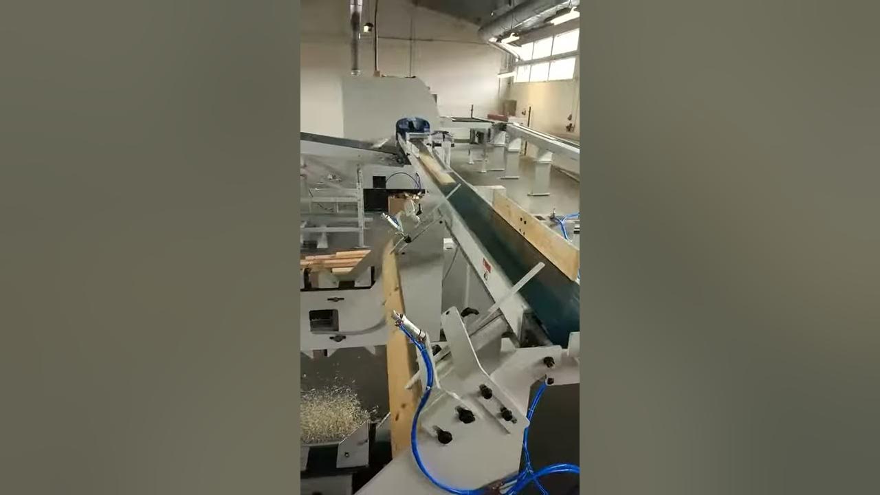 Production line VANHOLD 5 Infeed device, four side moulder, optimizer