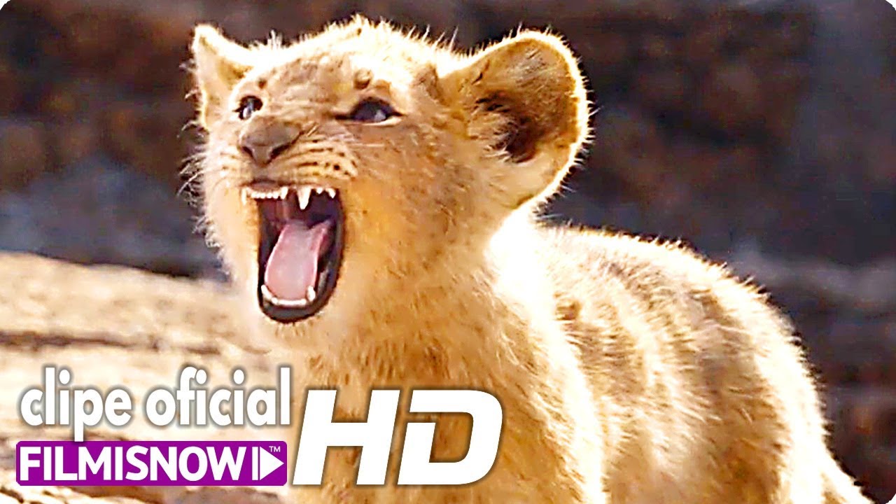 trailer el cuento de las comadrejas O REI LEÃO (2019) Clipe | 