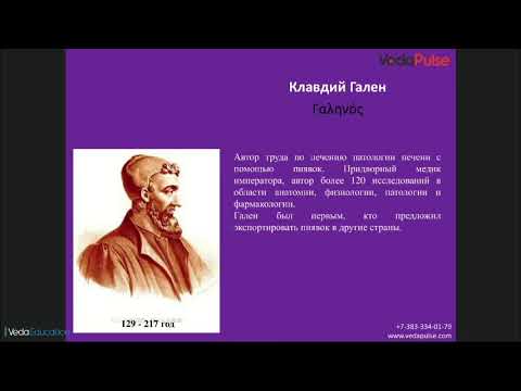 Лечение пиявками: за и против. Опыт применения гирудотерапии от практикующего врача