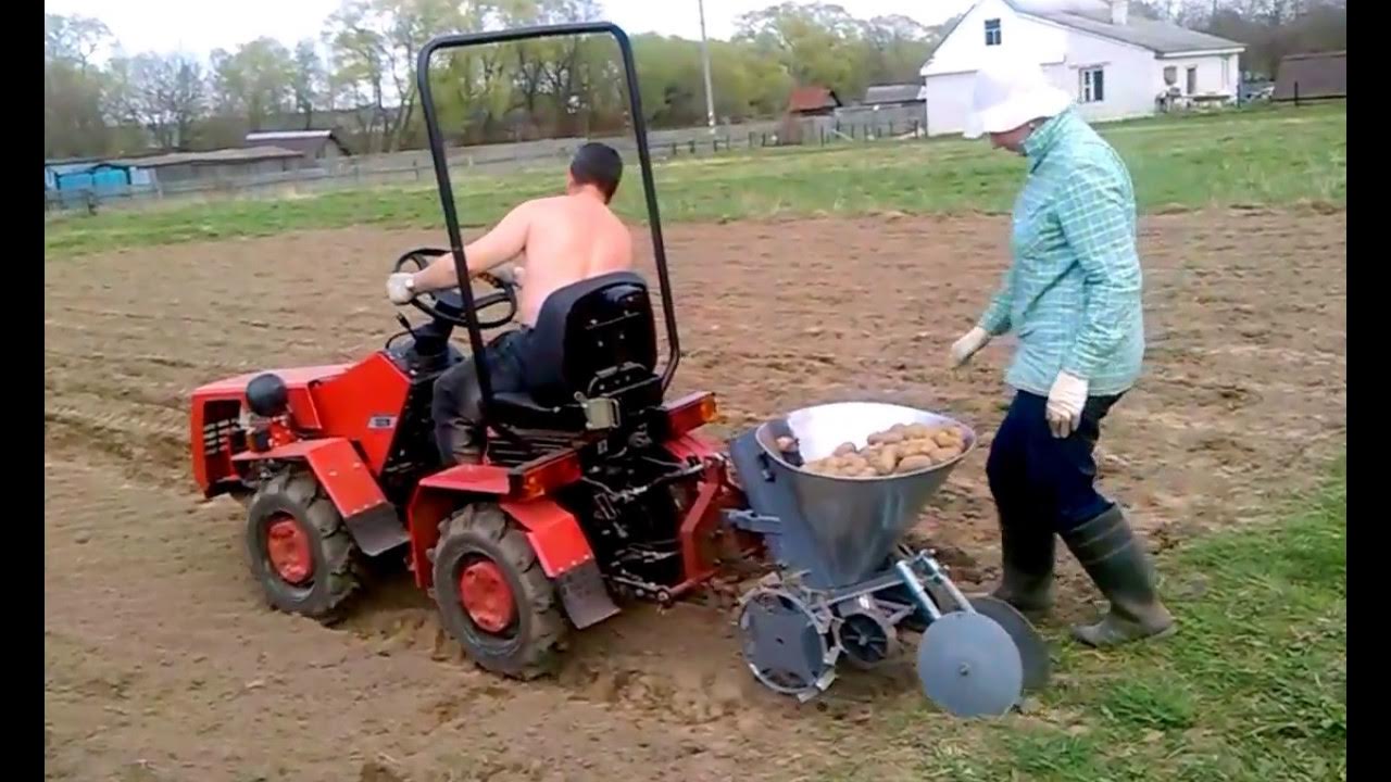 посадка картофеля минитрактором. минитрактор с колеей 1200 посадка картофеля. посадка картофеля минитрактором. посадка картофеля минитрактором сажалкой однорядной бомет. как правильно посадить картошку мини трактором бтз 152.
