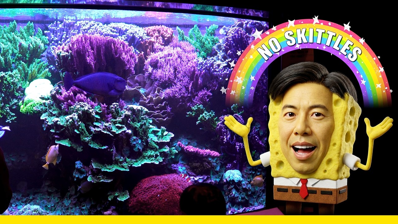 Forget "Skittles" Reefs... THIS is Why Mature Tanks Win