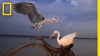 120 Years of Stunning Images | National Geographic