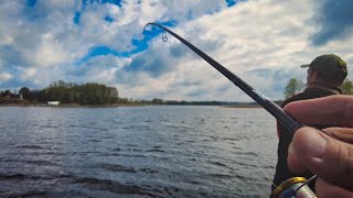 Lydekų Sezono Atidarymas. DAUG KIBIMŲ! LEGENDINĖ Medinukė ir Puiki nuotaika su Spiningu!