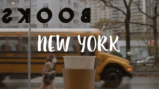 Living in New York VLOG / Between Autumn and Winter, Christmas Decor in NY, New Foster Kittens!