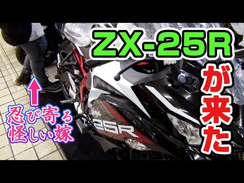 【バイク女子】旦那が勝手にZX-25Rを買ってきたので勝手に跨ったった