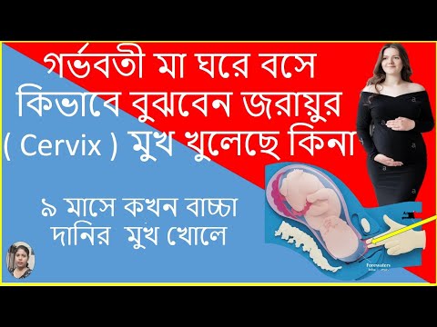 ভিডিও: আমাজন কি তাজা ডেলিভারি বন্ধ করে দিয়েছে?