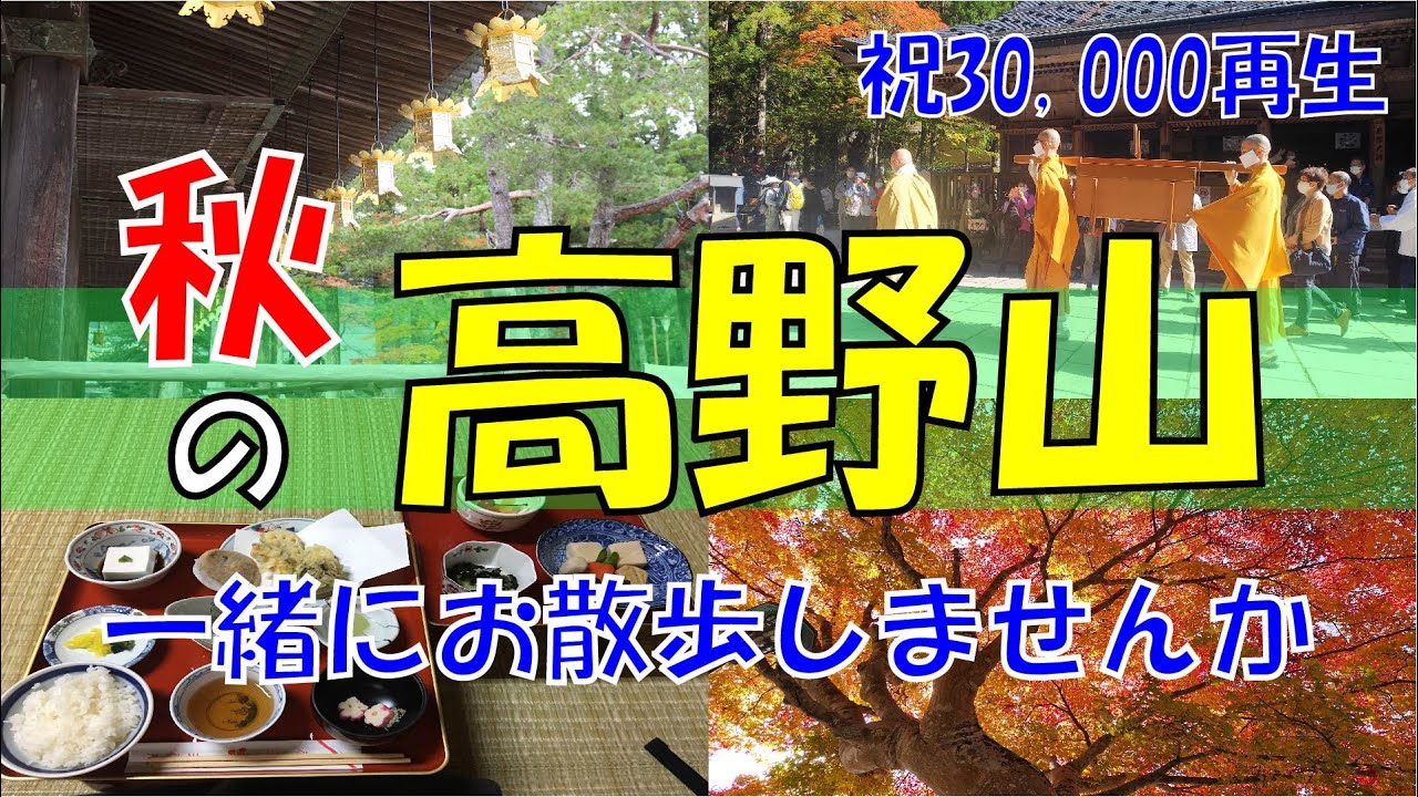 КОЯСАН с местным гидом | 60 МИНУТ ЯПОНСКОЙ ПРОГУЛКИ