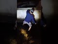 rejeki anak sholeh,, jutaan ikan terperangkap