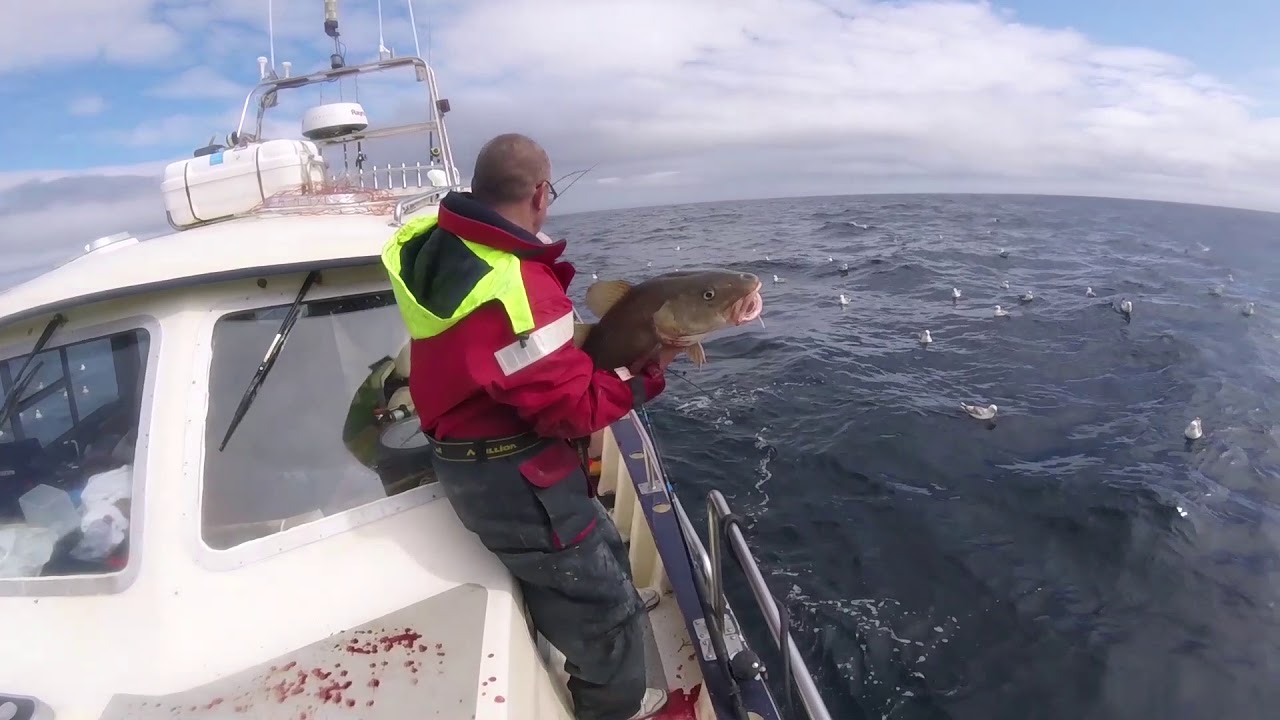 shetland islands fishing trips