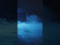 Blue Hours Dreams #shorts