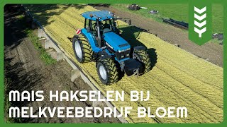 Download Lagu Mais hakselen bij melkveebedrijf Bloem MP3 Download Lagu Mais hakselen bij melkveebedrijf Bloem MP3