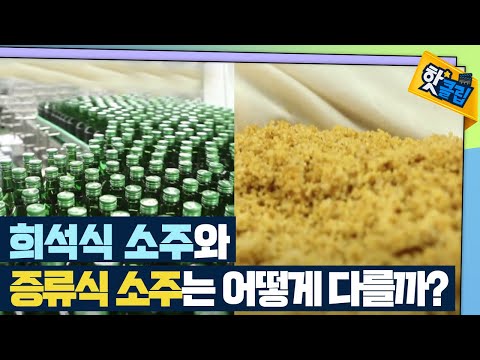   핫클립 소주의 종류와 변천사 YTN 사이언스