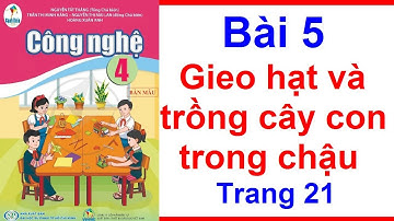 Công Nghệ Lớp 4 Bài 5 | Gieo Hạt Và Trồng Cây Con Trong Chậu | Trang 21 - 25 | Cánh Diều
