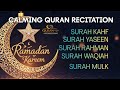 🔴 Peaceful Quran Recitation | KAHF, YASEEN, RAHMAN, WAQIAH,MULK | QURAN FITRA TV