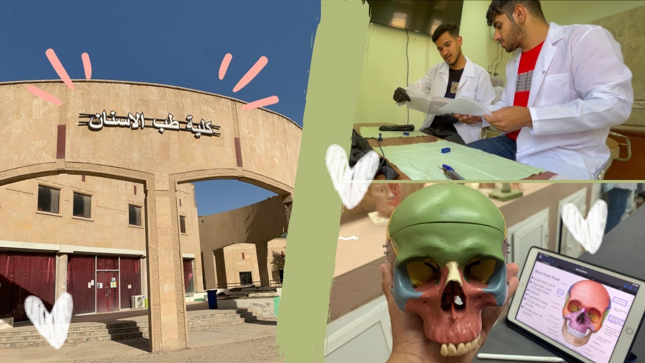إسبوع في حياة طالب طب أسنان جامعة ابن سينا / فلوك #2