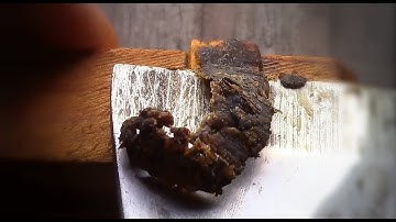 Harvesting Propolis While Cleaning Frames