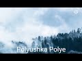 Red Army Choir:Polyushka Polye (Instrumental)