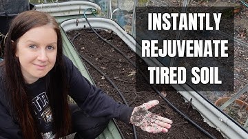 Rejuvenate TIRED Soil & Compost | How to Re-use OLD Potting Soil