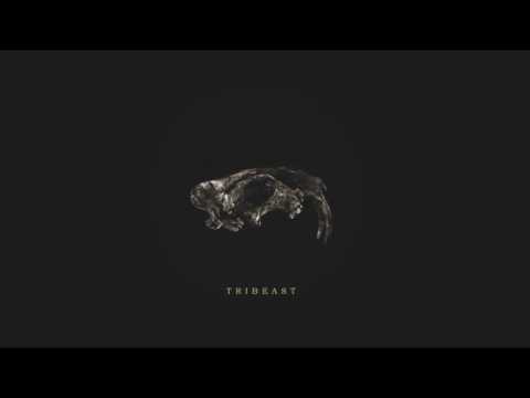 던말릭 (Don Malik) & 키마 (Kima) - Tribeast