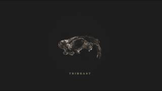 던말릭 (Don Malik) & 키마 (Kima) - Tribeast