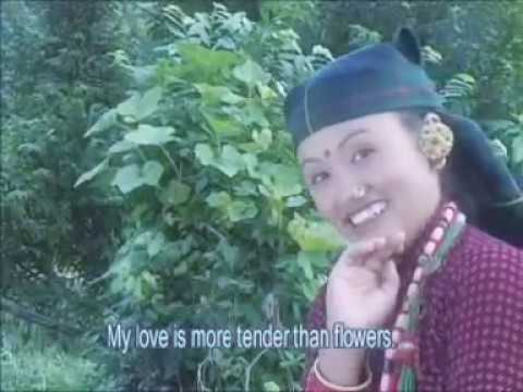 Herbai Ta   Chyabarani Ngolosyoni Superhit Gurung Song By Dhan Bahadur Gurung  Jyoti Gurung