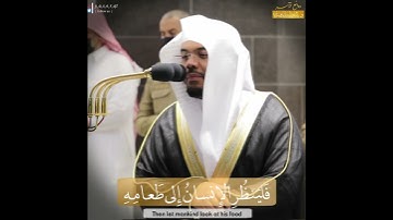 "فلينظر الإنسان إلى طعامه" د. ياسر الدوسري يتلوا آيات ذِكر نعم الله على العبد بترتيل حجازي بديع وآسر