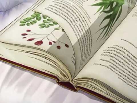 Taylor Swift Love Story Slowed Reverb