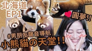 小熊貓の天堂！札幌 円山動物園｜北海道 EP1｜Alice Ha