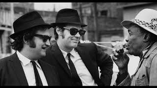 Dan Akroid & John Belushi Interview    Rare Blues Brothers Interview from July 1980