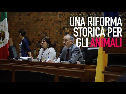 Messico: la crudeltà verso gli animali è un crimine!